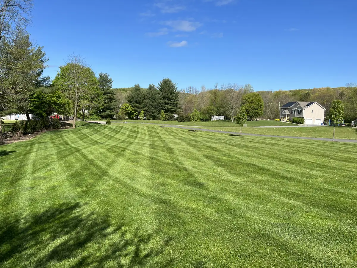 Lawn care and maintenance in the Hudson Valley